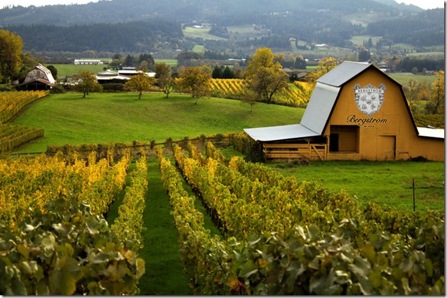 Bergstrom-levels-only