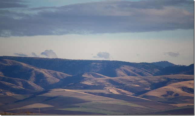 blue-mtns-walla